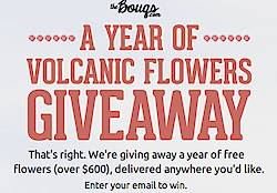 The Bougs A Year Of Volcanic Flowers Giveaway
