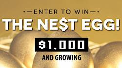 Western Federal Credit Union Nest Egg Sweepstakes