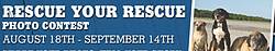 Tractor Supply Company Rescue Your Rescue Photo Contest