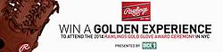 Rawlings & Dick’s Sporting Goods Golden Experience Sweepstakes