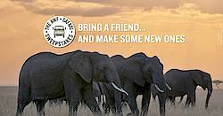 African Wildlife Foundation Kenya Safari Sweepstakes