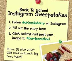 Driscolls #Berries2School Sweepsakes