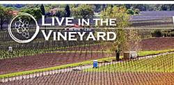 SiriusXM Live in the Vineyard Fall 2014 Sweepstakes
