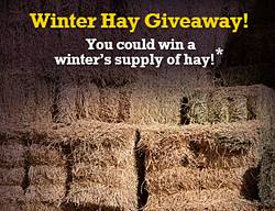 Horse Health Winter Hay Sweepstakes