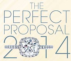 Leo Hamel 2014 Perfect Proposal Contest