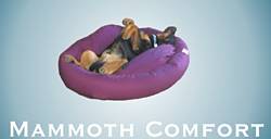 Mammoth Outlet Dog Bed Giveaway