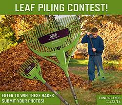 Ames Leaf Piling Contest