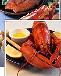 Cape Porpoise Lobster Tail Sweepstakes