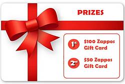 Shoe Swipe: Zappos Gift Card Giveaway