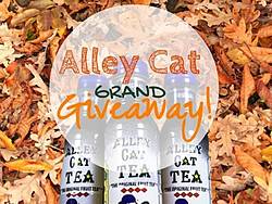 Alley Cat Grand Giveaway