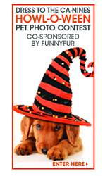 Daily Kibble Dress to the Ca-Nines Howl-O-Ween Pet Photo Official Contest