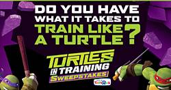 Toys"R"Us Turtles in Training Sweepstakes