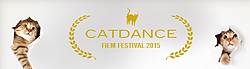 Fresh Step Catdance Film Festival Contest