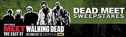 AMC Walking Dead: Dead Meet Sweepstakes