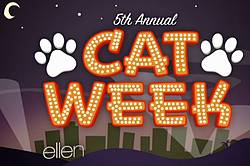Ellen: Cat Week Contest
