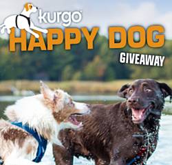 Kurgo Store Life With Dogs Giveaway