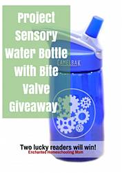 Enchanted Homeschooling Mom: Project Sensory Water Bottle Giveaway