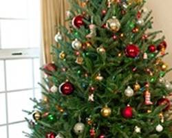 Green Valley Christmas Trees Sweepstakes