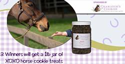 HorseChannel Charleigh's Cookies XOXO Giveaway