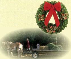 DeLong Farms 2015 Christmas Wreath Contest