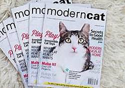 Modern Cat Giveaway Calendar Sweepstakes