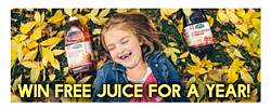 Old Orchard Holiday Juice Sweepstakes