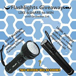 Loftek Flashlight With Power Bank or a 51UV Blacklight Giveaway