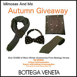 Mimosas and Me Bottega Veneta Mens Winter Accessories Giveaway