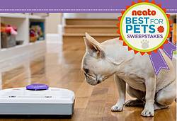 Neato Botvac: Best for Pets Sweepstakes