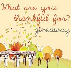 Nonni’s THINaddictives What Are You Thankful For? Sweepstakes