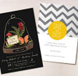 Minted + Offbeat Bride Sweepstakes