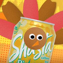 Shasta Turkey Your Can 2014 Contest