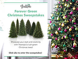 Treetopia Forever Green Christmas Sweepstakes