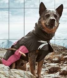 Dogsized Hurtta Ultimate Warmer Dog Jacket Giveaway