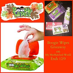 My Mis-Matched World: Boogie Wipes Giveaway