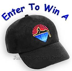 Just the Grateful Dead Cat Under the Stars Hat Contest