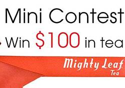 Mighty Gift Guide Contest Giveaway