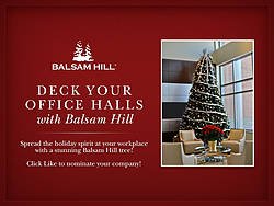 Balsam Hill Deck Your Office Halls Contest