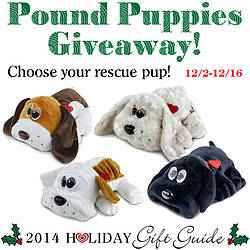 Southern Mom Loves: Pound Puppies Giveaway