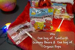 Candypolooza: YumEarth Candy & Stocking Giveaway