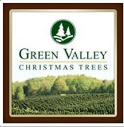 Green Valley Christmas Trees I Choose Real Sweepstakes