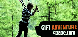 Adventure Family in Motion: $25 GoApe TreeTop Adventures Gift Certificates Giveaway
