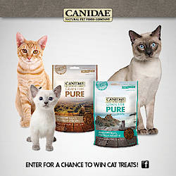 Canidae Pet Foods Treat Your Cat Sweepsakes