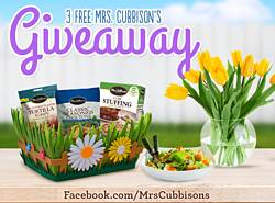 Mrs. Cubbison’s: 3 FREE Croutons