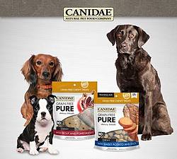 Canidae Pet Foods Grain Free PURE Chewy Dog Treats Instant Win