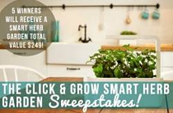 Ron and Lisa: Click & Grow Smart Herb Garden Sweepstakes