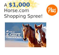 Horse.com Holiday Cover Photo Contest
