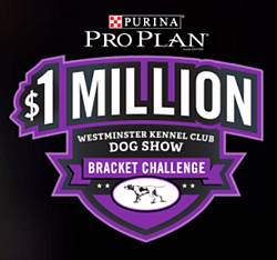 Purina Pro Plan $1 Million Westminster Kennel Club Dog Show Bracket Challenge Contest