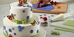 Woman's Day: Cake Boss Spring Cake Decorating Kit Giveaway