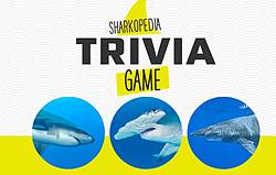Discovery Sharkopedia Trivia Game Sweepstakes